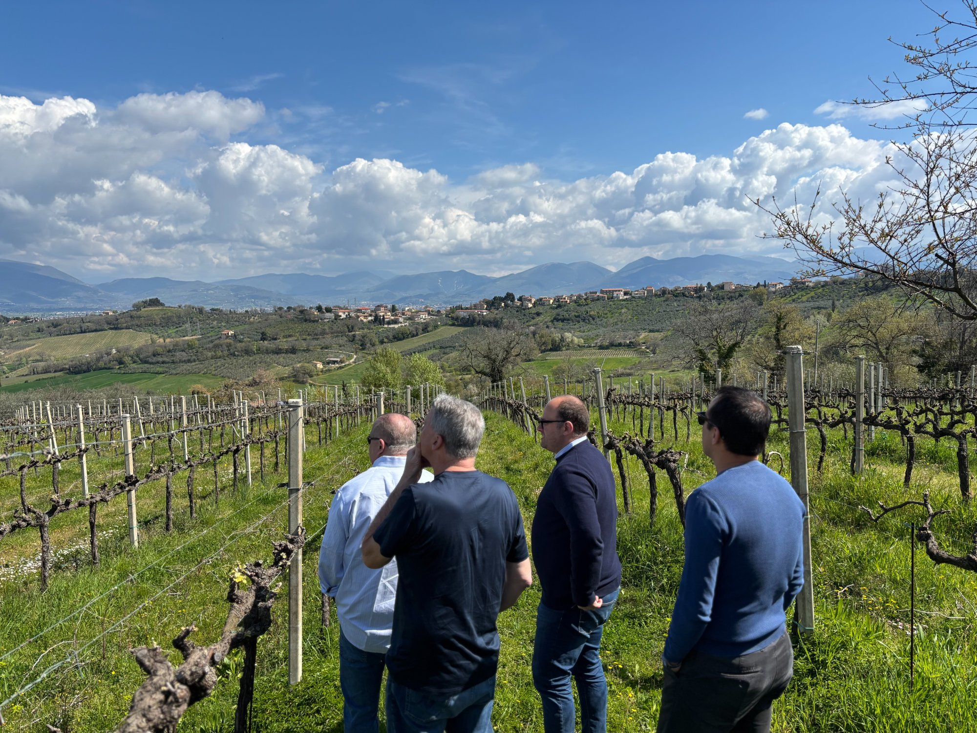 EDV International founders at Italian vineyard